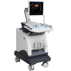 Ultrasound-removebg-preview